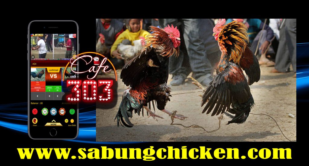 Taruhan Sabung Ayam Online Indonesia