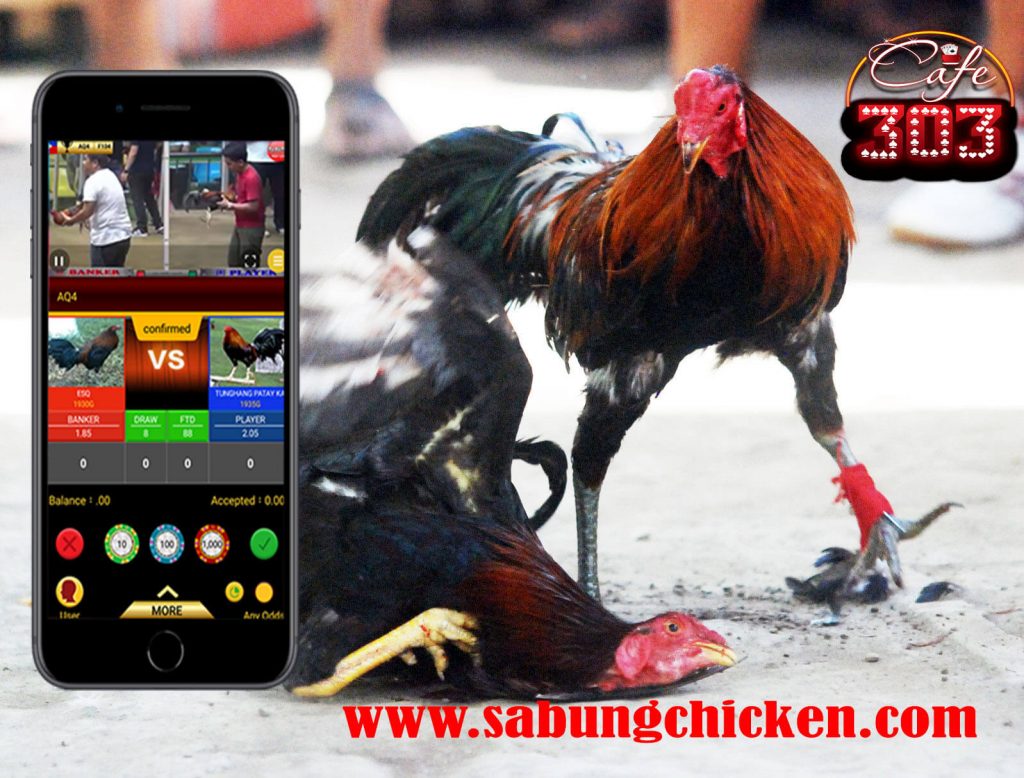 Taruhan Ayam Online 2018