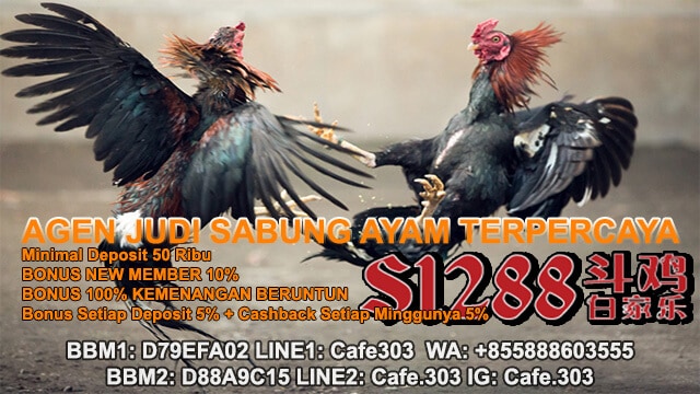 Situs Terbaik Permainan Online Sabung Ayam Indonesia