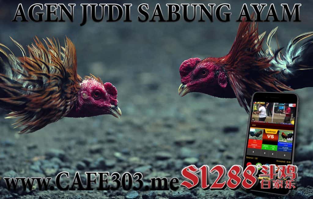 Permainan Online Judi Sabung Ayam